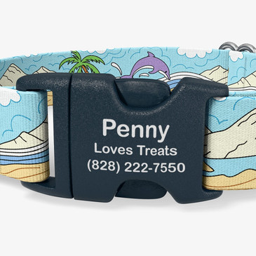 closeup of buckle personalization
